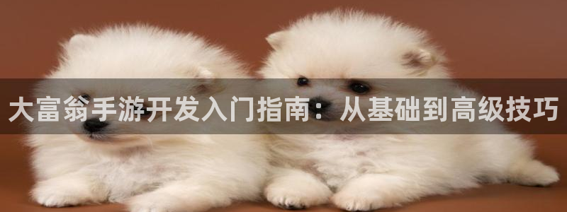 V8娱乐官网：大富翁手游开发入门指南：从基础到高级技巧