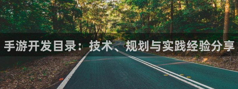V8娱乐网：手游开发目录：技术、规划与实践经验分享