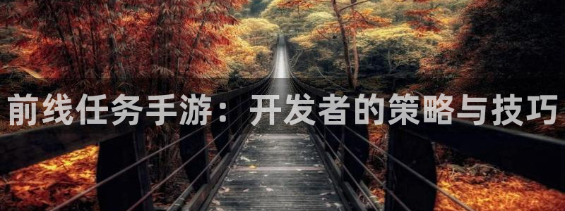 V8娱乐网：前线任务手游：开发者的策略与技巧
