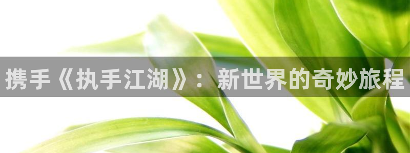 V8娱乐官网：携手《执手江湖》：新世界的奇妙旅程