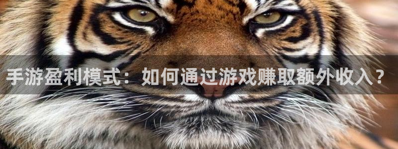 V8娱乐登录：手游盈利模式：如何通过游戏赚取额外收入？