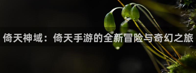 V8娱乐官网：倚天神域：倚天手游的全新冒险与奇幻之旅