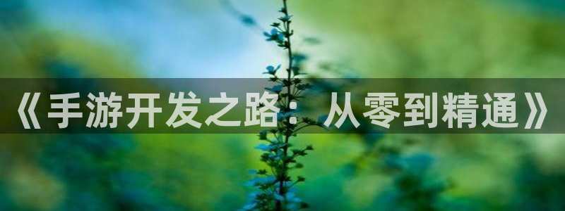 V8娱乐注册：《手游开发之路：从零到精通》