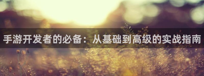 V8娱乐网：手游开发者的必备：从基础到高级的实战指南