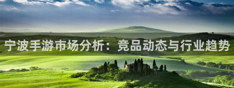 V8娱乐注册：宁波手游市场分析：竞品动态与行业趋势