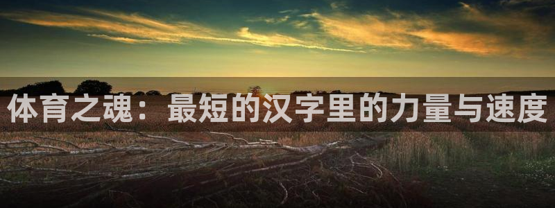 谈球吧体育