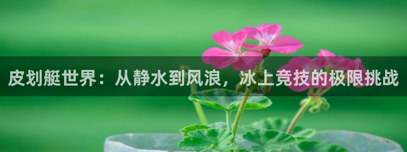 谈球吧