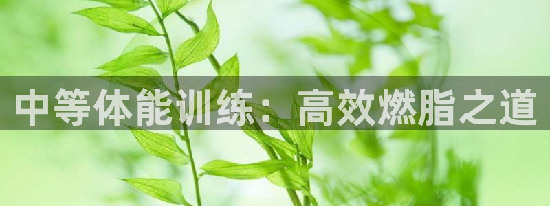 谈球吧