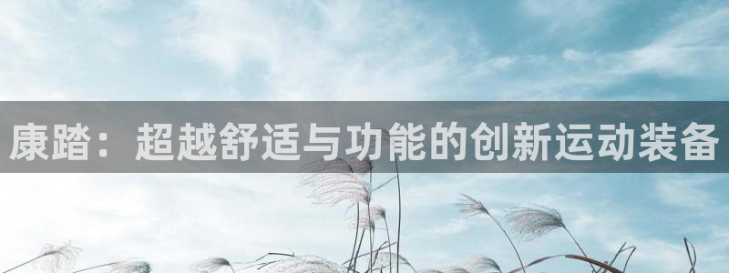 谈球吧体育官网