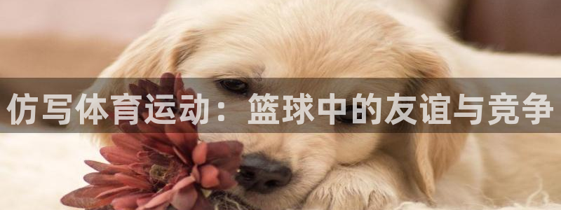 谈球吧体育官网